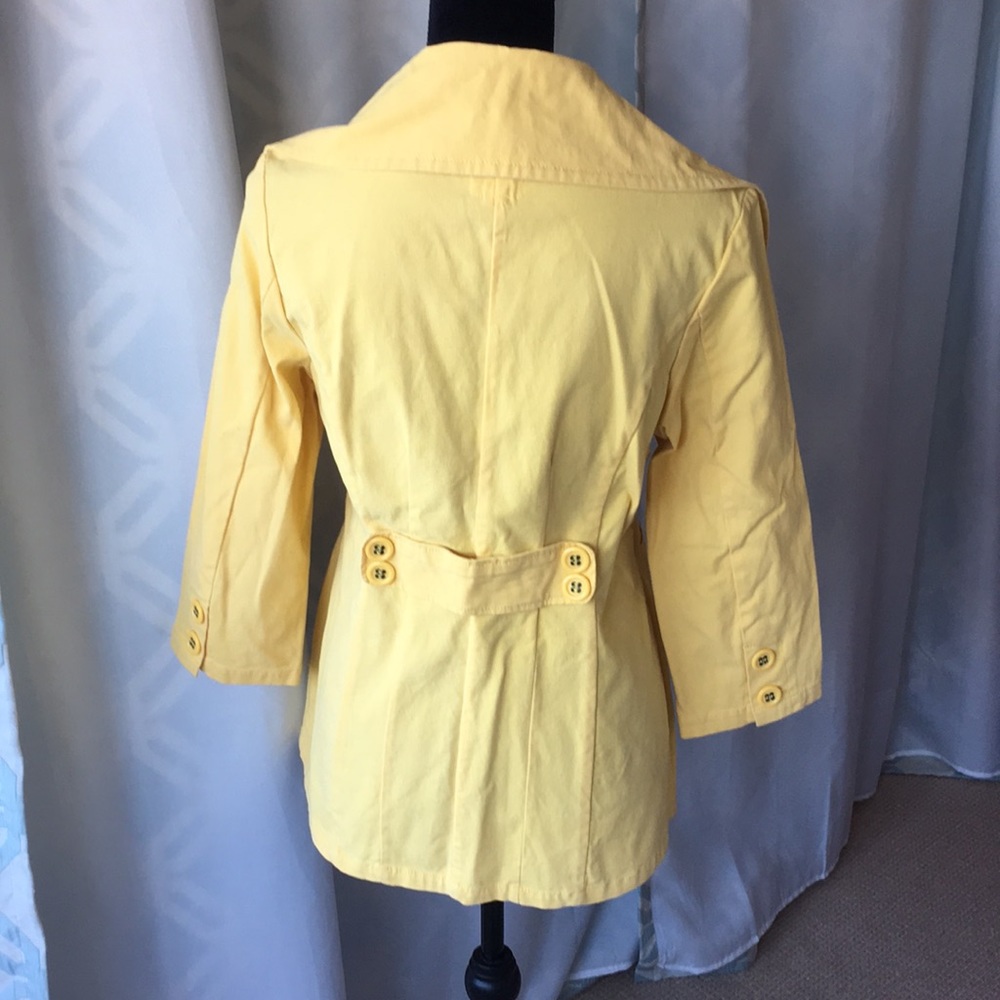 Yellow jacket! - Picture 2 of 5